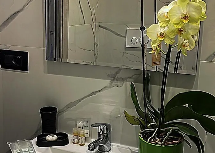 Πανσιόν Red Queen